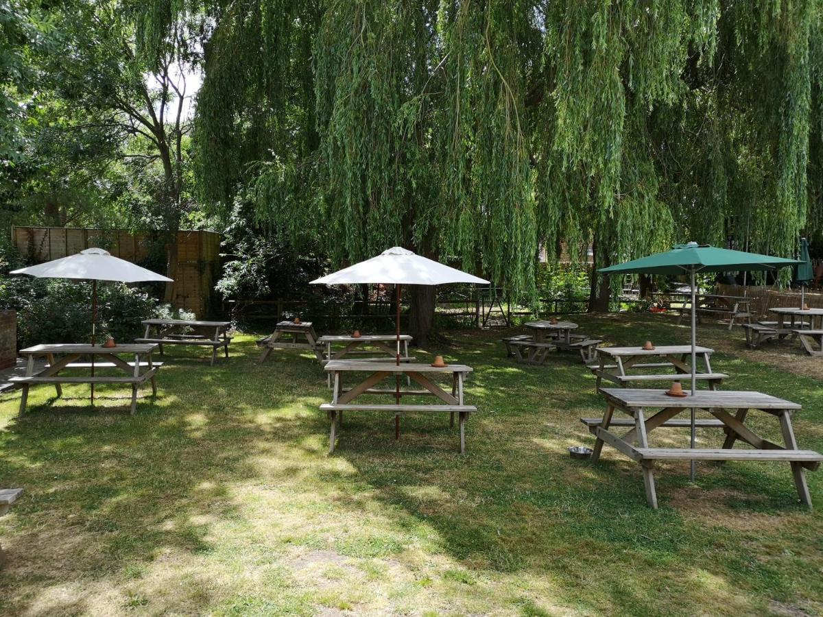 Woolpack Inn Chichester Ngoại thất bức ảnh